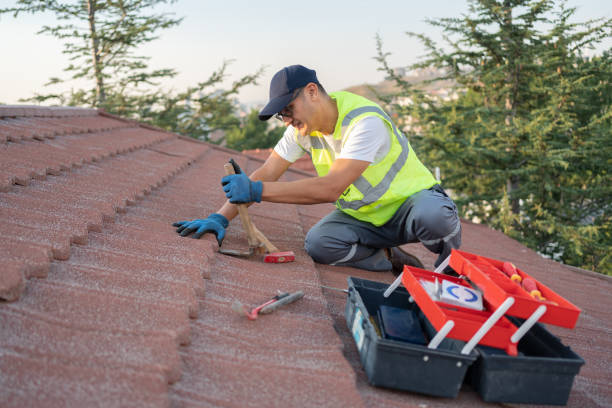 Best Sealant for Roof  in Vaughn, WA